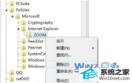 win10ϵͳieҳ޷ŴСͼĲ